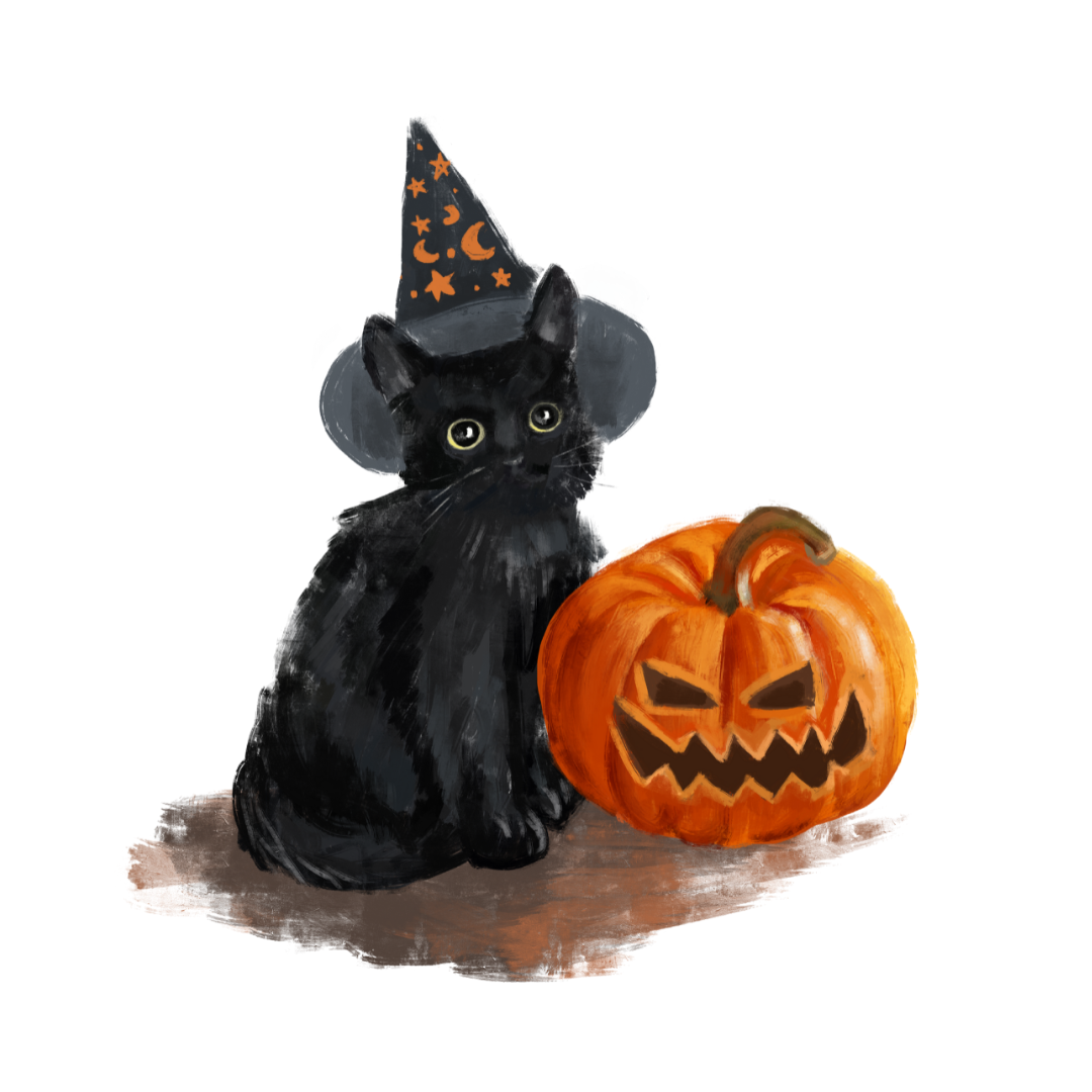 Cat and pumpkin